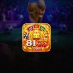81CC Game